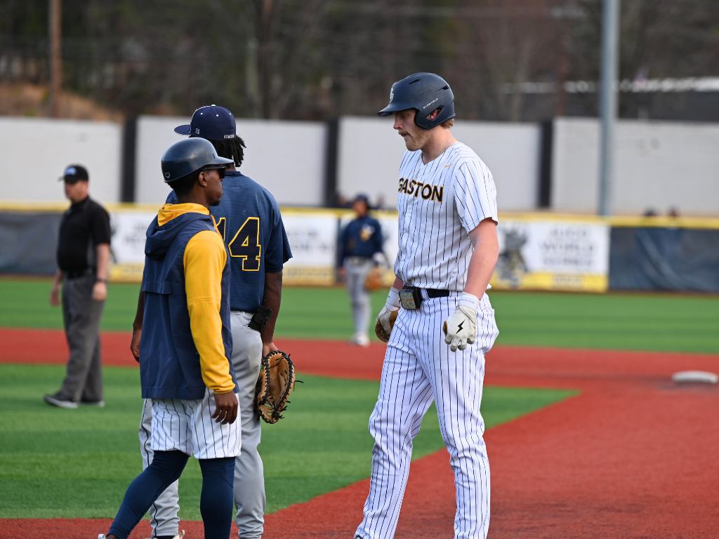 Gaston College's Nick Diehl had five hits and five RBIs in the Rhinos' road series win at Florence Darlington Tech this weekend.